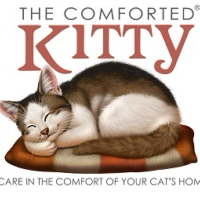 Comforted Kitty