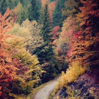 Autumnal Playlist
