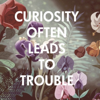 Curiosity often leads to trouble