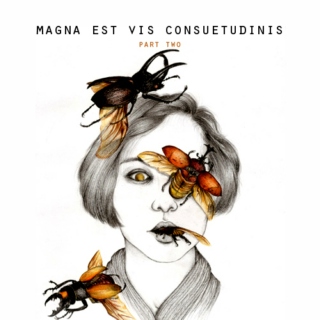 Magna Est Vis Consuetudinis - Part Two