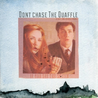 Don't Chase the Quaffle