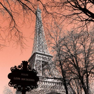 J'ai besoin de voir La Tour Eiffel!! Part II