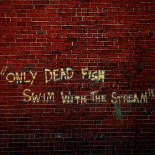 Only Dead Fish Swim With The Stream