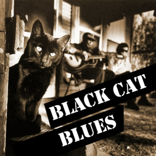 Black Cat Blues