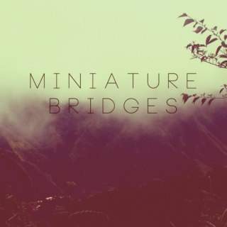 Miniature Bridges