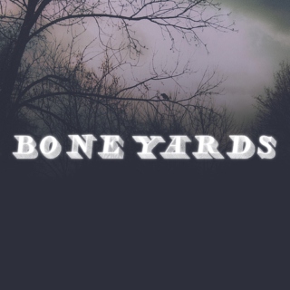  Boneyards