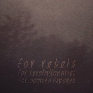 rebels and revolutionaries