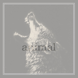 animal