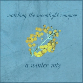 Watching the moonlight conquer - a winter mix