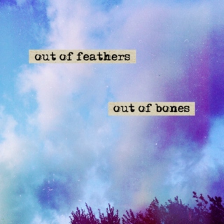 out of feathers out of bones