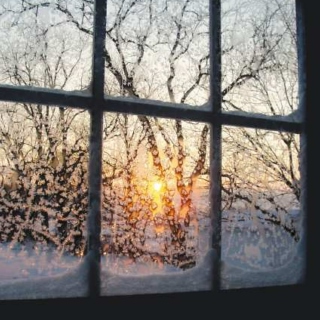 Winter Morning