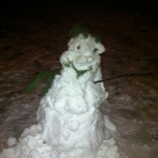 Raving Snowman