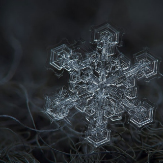 Slightly Distorted Snowflakesz