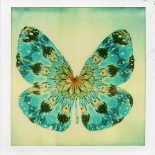 kaleidoscope dreams and butterfly wings