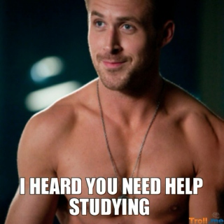 study, study, study