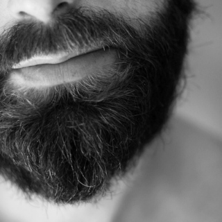 Indie Beards