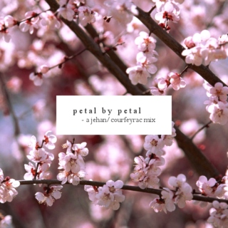 petal by petal