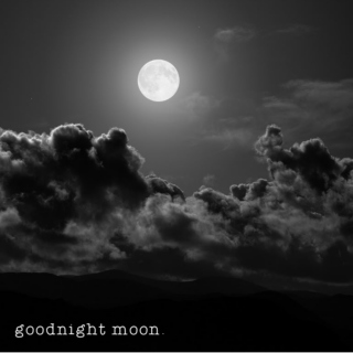 goodnight moon.