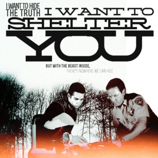 i want to shelter you
