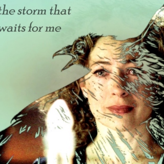 the storm that waits for me