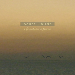 boats & birds