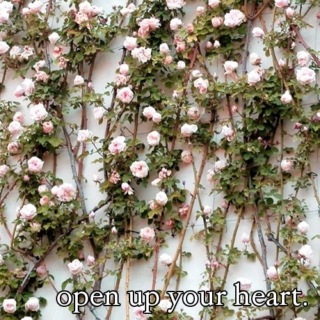 open up your heart