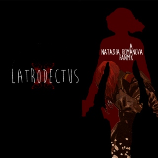 latrodectus