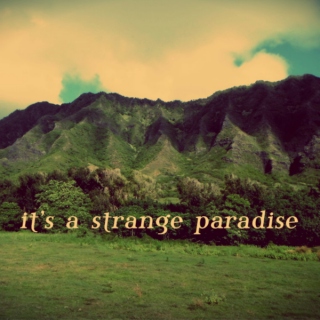 it's a strange paradise