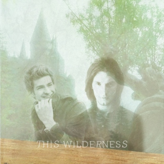 this wilderness
