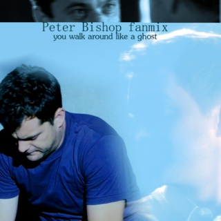you walk around like a ghost - Peter Bishop fanmix