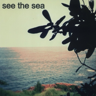 see the sea