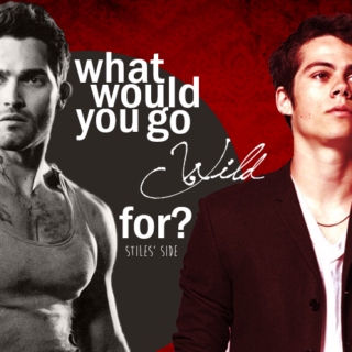 What Would You Go Wild For - Stiles Side
