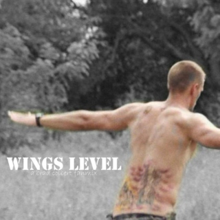 wings level.