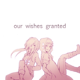 our wishes granted