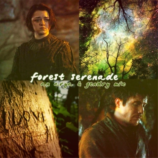 forest serenade: an arya & gendry mix