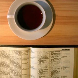 Blemished: A Bible Study Mix