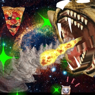 pizza cats in space (real fucking high on drugs)