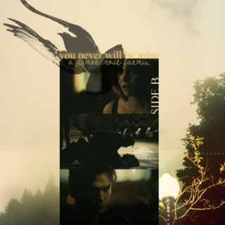 you never will be mine - a damon/rose fanmix (side b)