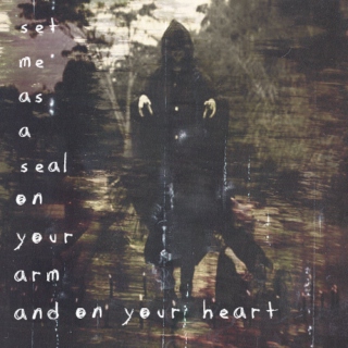 set me as a seal on your arm... 
