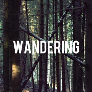 Wandering 