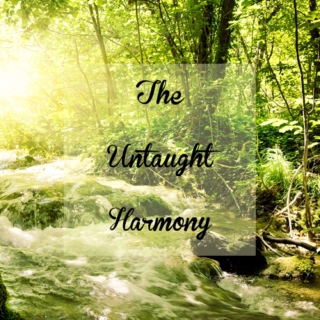 The Untaught Harmony