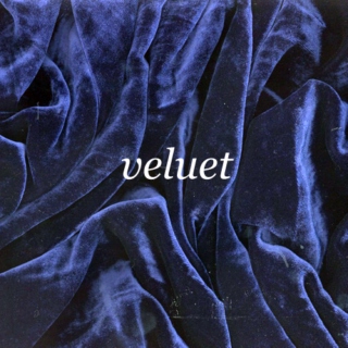 Fabric Series: Velvet