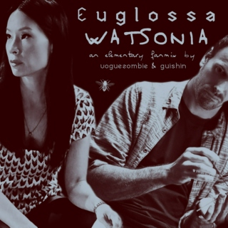 Euglossa watsonia