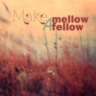 Make a Mellow Fellow