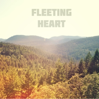 fleeting heart