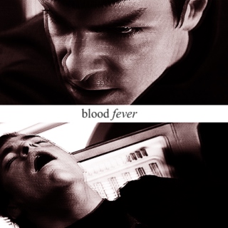 blood fever; a k/s pon farr fanmix