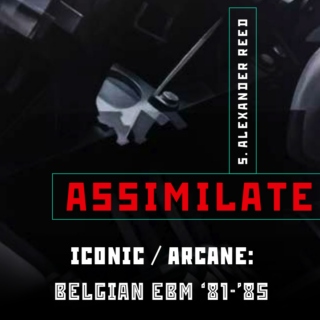 Assimilate Ch. 10: Belgian EBM '81-'85