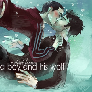 a boy and his wolf; a sterek fanmix