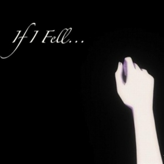 If I Fell...