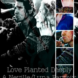 Love Planted Deeply